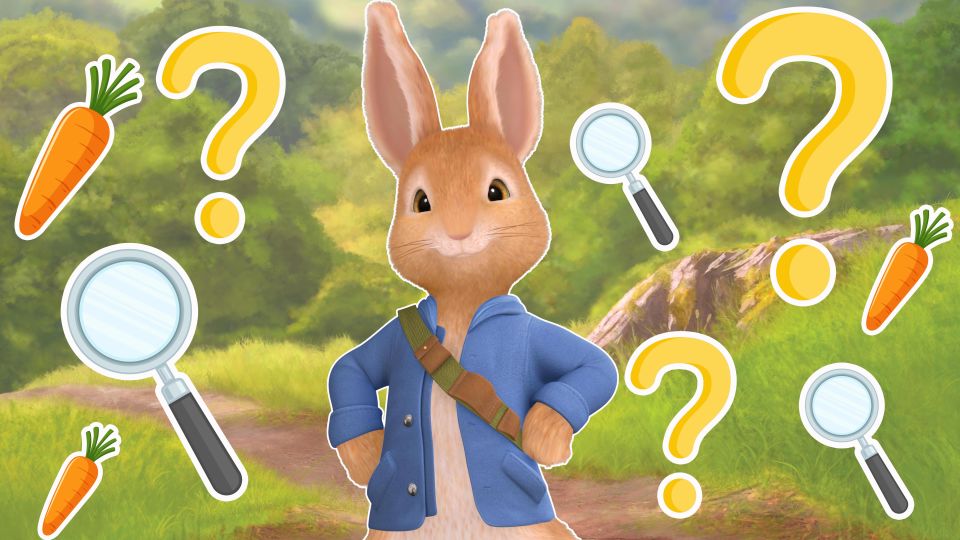 Peter Rabbit Bunny Fact Quiz - Rabbit Facts - CBeebies - BBC
