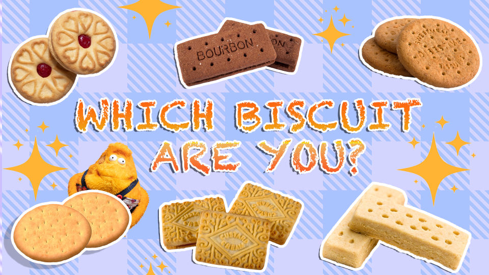 Biscuit quiz shop