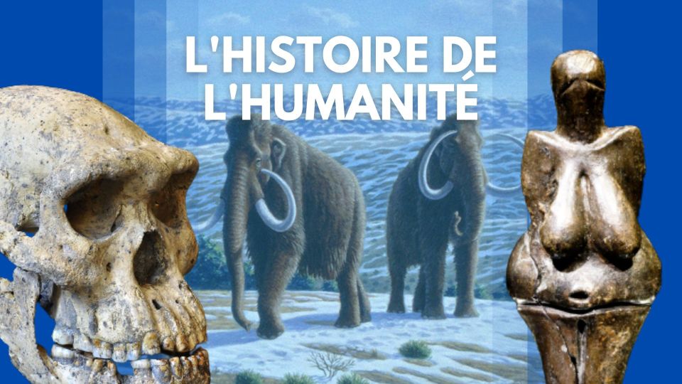 53 L'Histoire de l'humanité