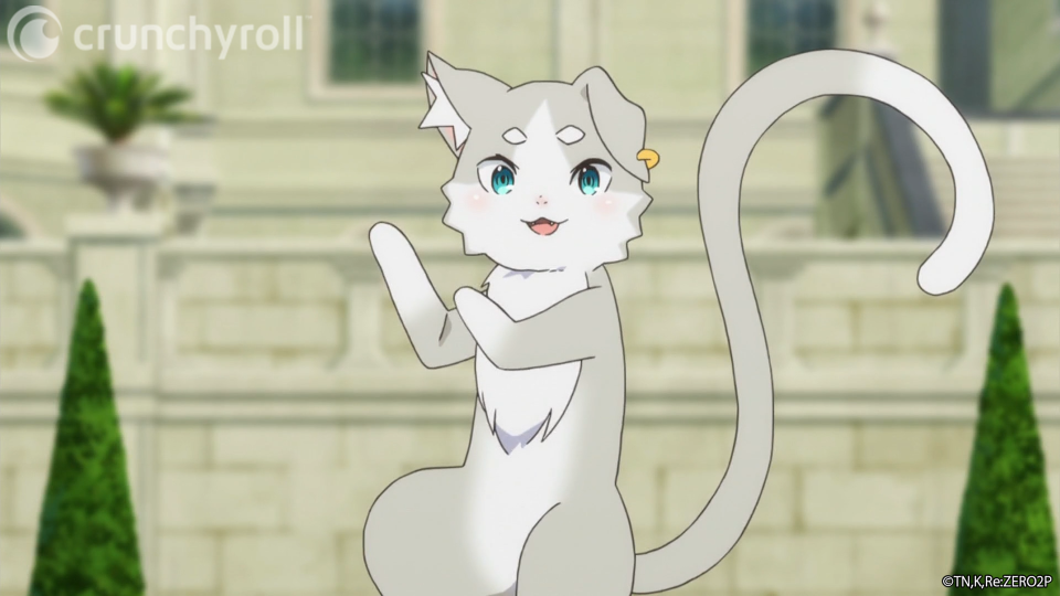 QUIZ: Which Purrfect Anime Cat Are You Most Like? - Crunchyroll News
