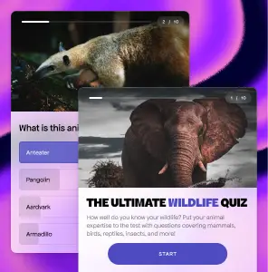 A trivia quiz about wildlife