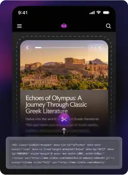 Showing a Riddle Quiz embedded on a website